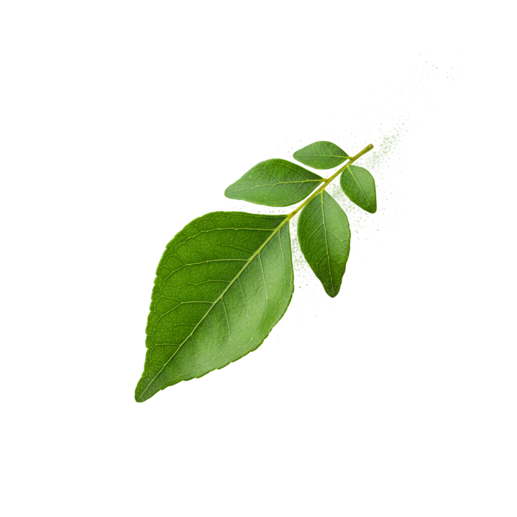 KaliYug Foods branding and packaging