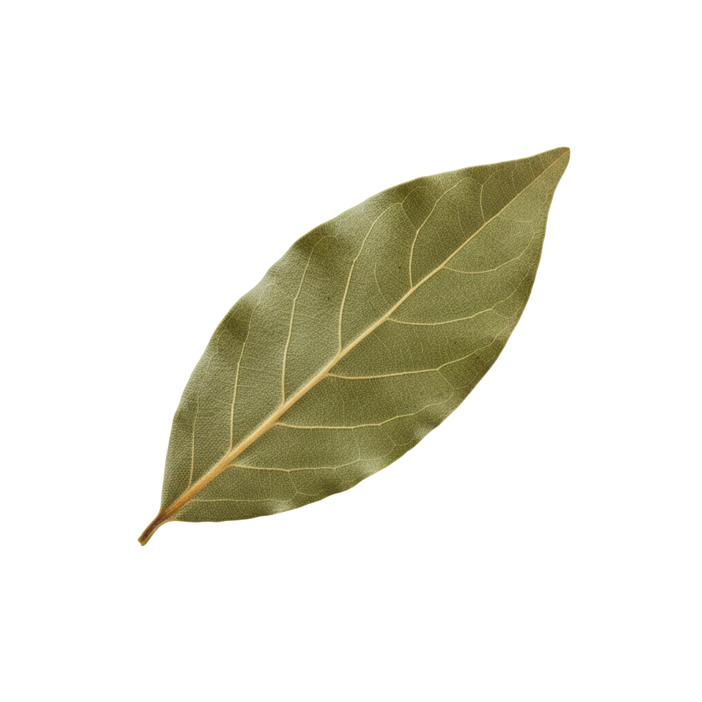 Close-up of pickle texture