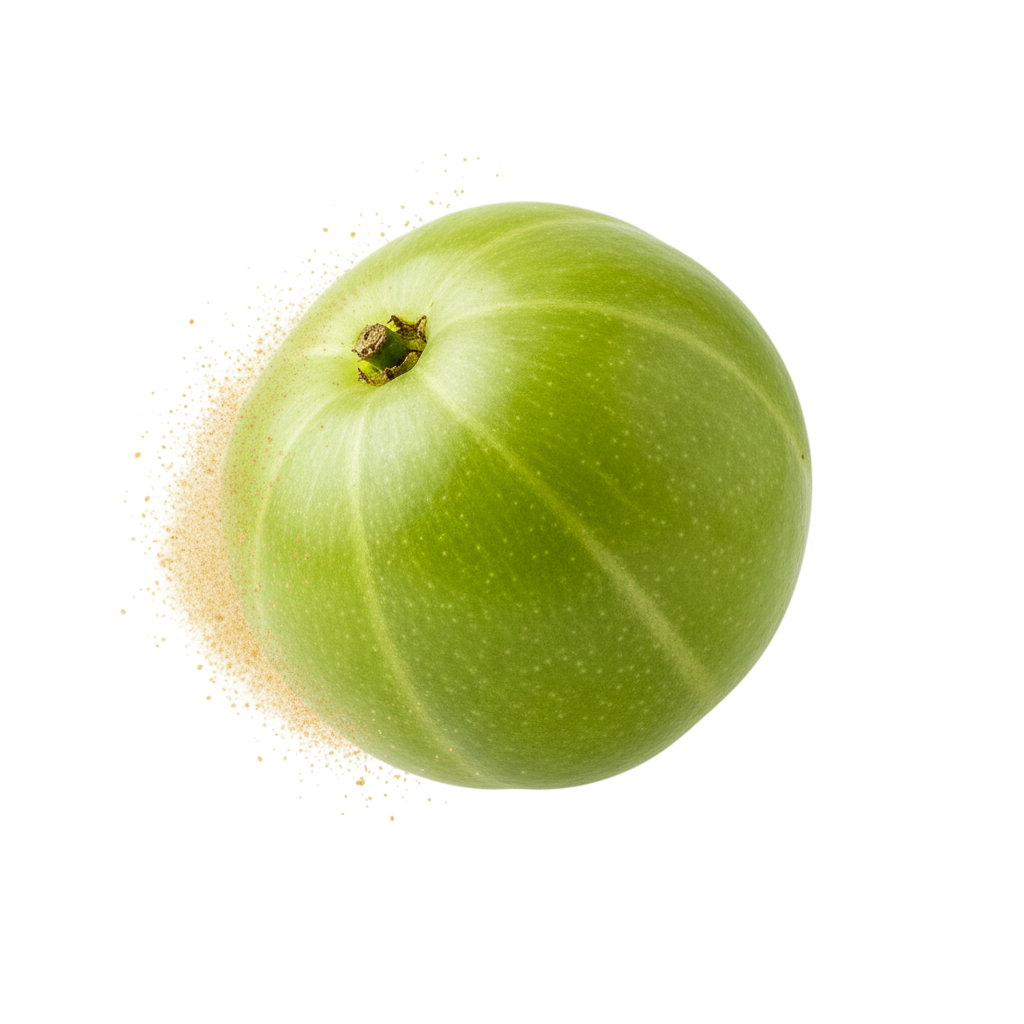 KaliYug Foods gift-ready packaging